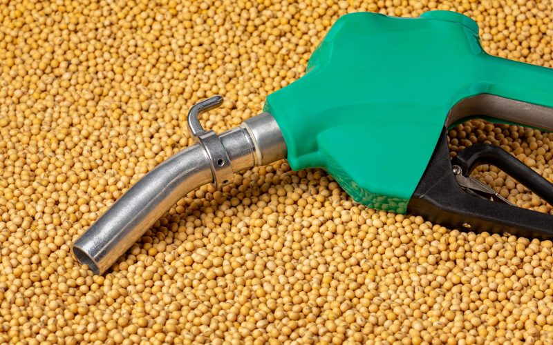 Cooperativas do RS irão investir R$ 1,25 bilhão em usina de biodiesel