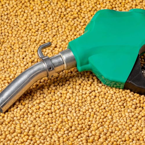 Indústria de soja tem condição de atender maior demanda de biodiesel