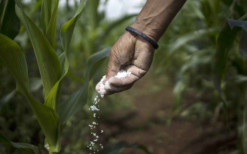 Alta dos fertilizantes pressiona produtores na safra 2025/26