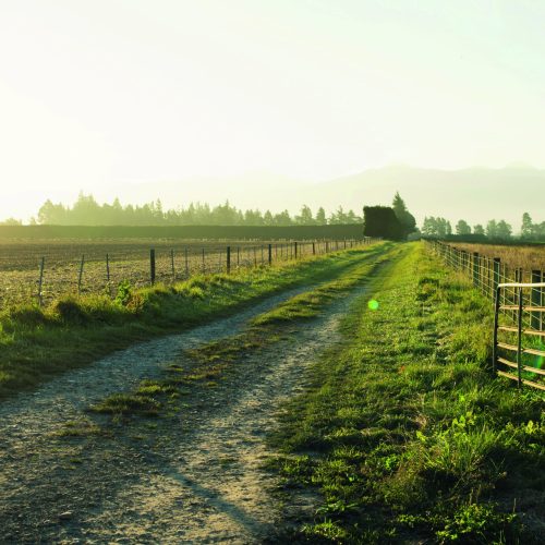 Faturamento ‘dentro da porteira’ deve desacelerar neste ano, afirmam especialistas