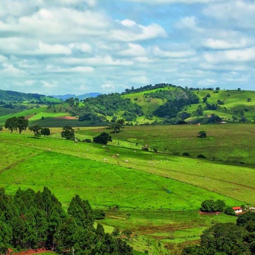 Orçamento de carbono está perto do fim, afirma estudo