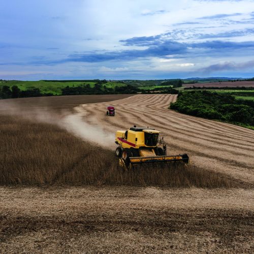 Por que produtores de soja dos EUA declaram ‘preocupação’ com concorrência do Brasil