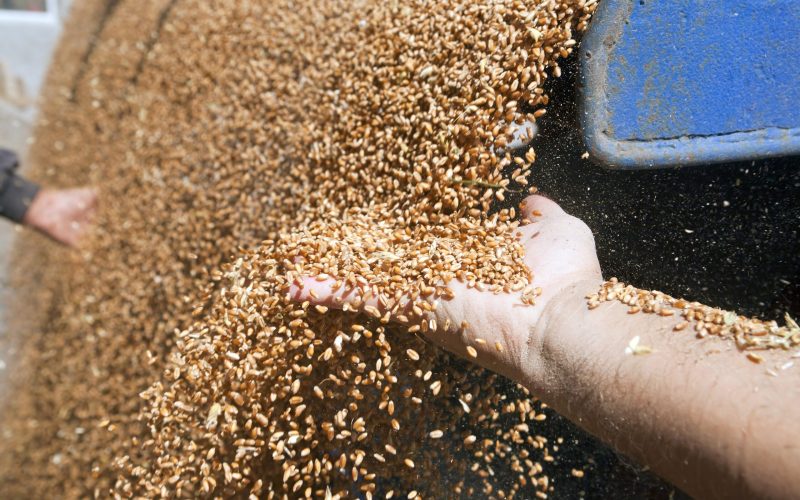 Caramuru aprova investimento de R$ 251 milhões em projeto com 3Tentos