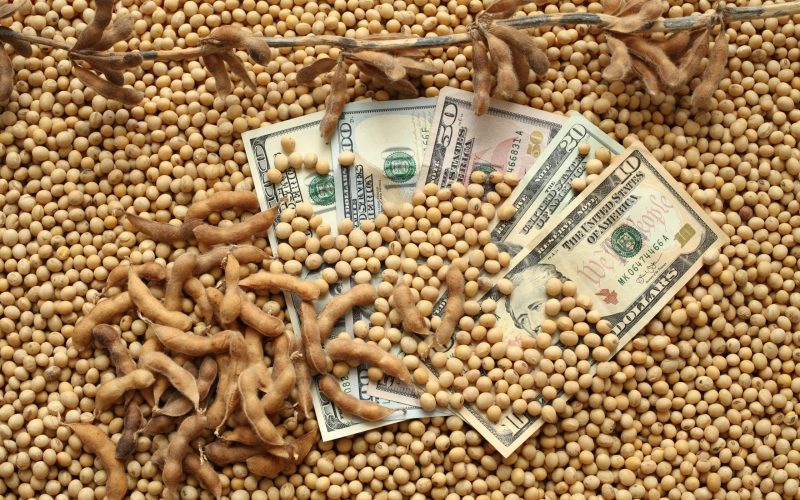 Grãos oscilam pouco, enquanto analistas aguardam diálogo entre EUA e China