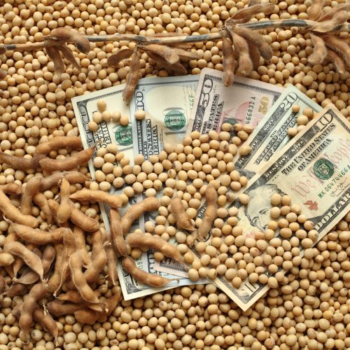 Soja, milho e trigo têm leve alta na abertura da bolsa de Chicago