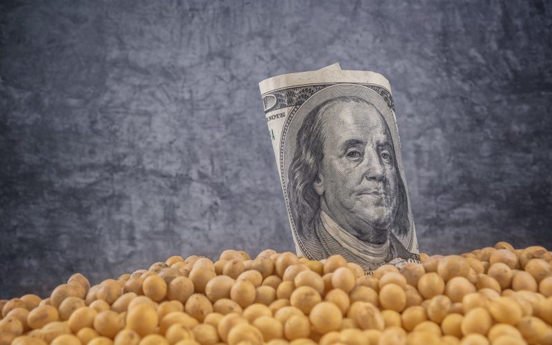 Preço da soja cai no Brasil com influência da baixa do dólar