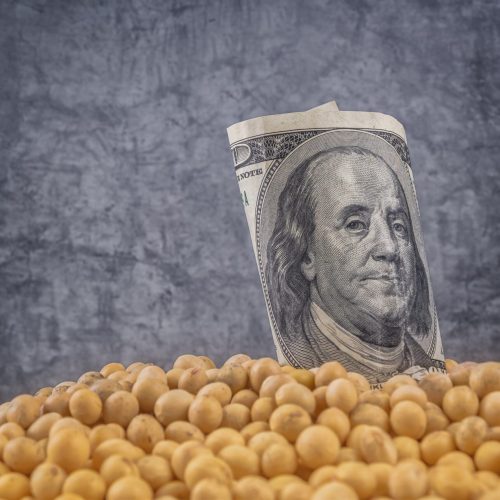 Soja fecha sem direção em Chicago, com investidores esperando acordo entre EUA e China