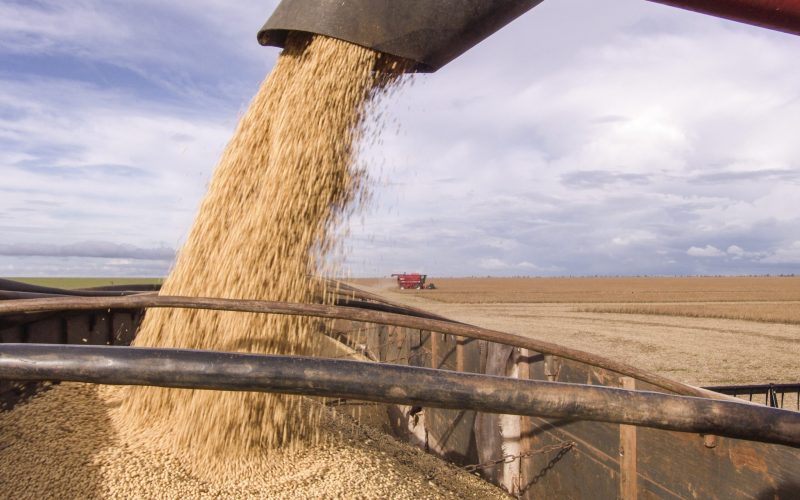 Acordo EUA-China derruba prêmios da soja no Brasil e faz preço subir em Chicago