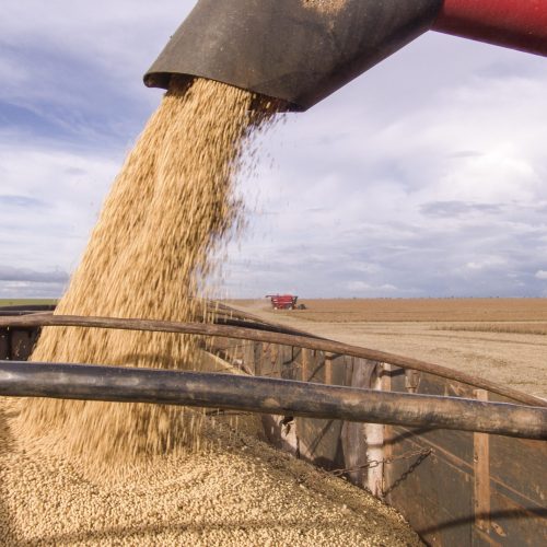 Soja, milho e trigo fecham em alta na bolsa de Chicago