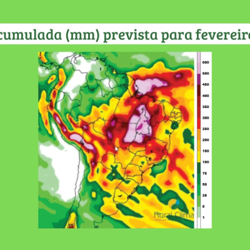 La Niña pode causar invernada durante colheita da soja no Cerrado