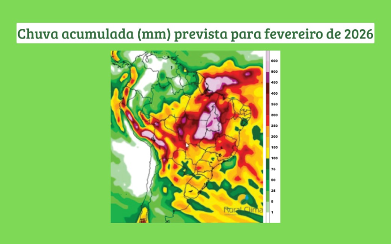 La Niña pode causar invernada durante colheita da soja no Cerrado