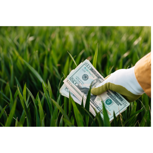 Cresce a demanda por consórcio no campo