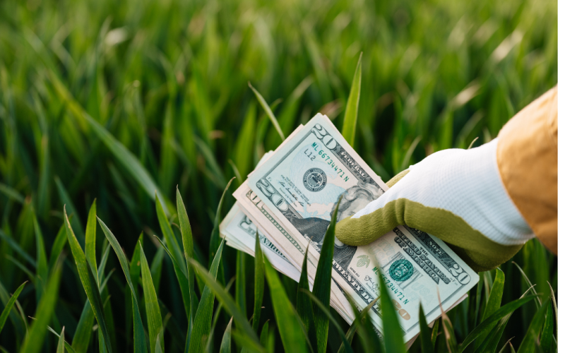 Cresce a demanda por consórcio no campo