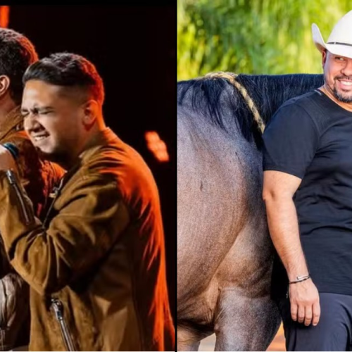 Henrique & Juliano e Xand Avião se unem em projeto milionário de cavalos de elite