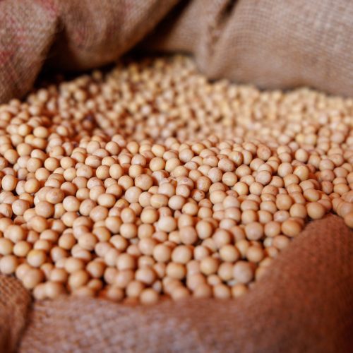 Safra de soja deve chegar a 178,1 milhões de toneladas, diz Agroconsult