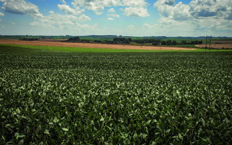 Propriedades da Terra Santa são avaliadas em R$ 2,8 bilhões pela S&P