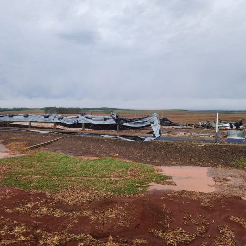 Como produtores podem minimizar os impactos do temporal no Paraná