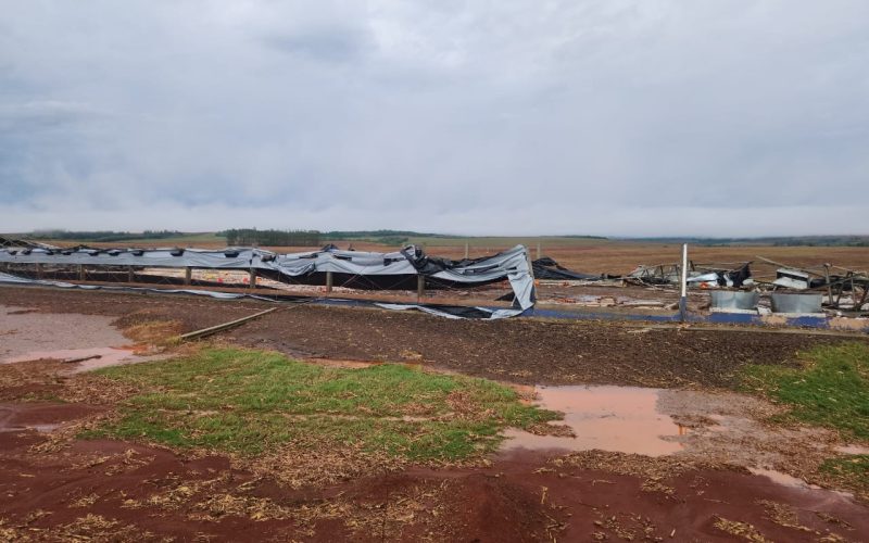 Como produtores podem minimizar os impactos do temporal no Paraná