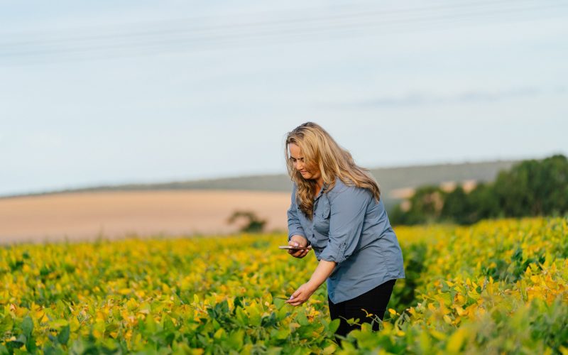 Nova tecnologia maximiza proteção contra pragas