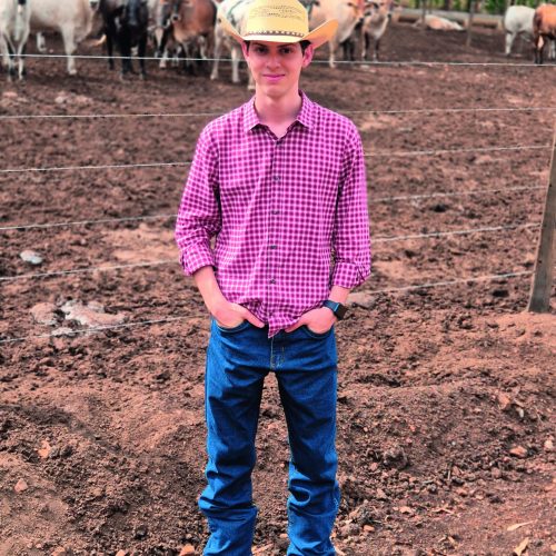 Demanda por rastreabilidade bovina motiva jovem a criar startup