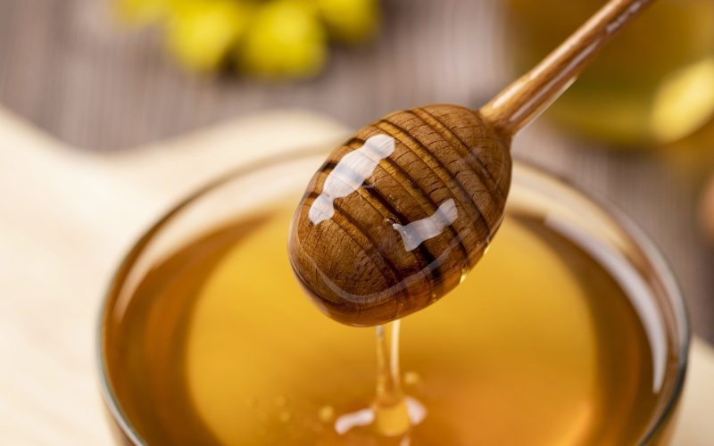 Produtores de mel pedem apoio para enfrentar efeitos do tarifaço dos EUA