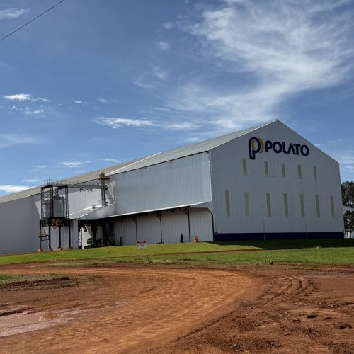 Empresa investe R$ 100 milhões para beneficiar sementes de soja, algodão e sorgo em Mato Grosso