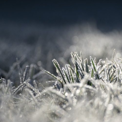 Frio segue intenso e volta a causar geadas na quarta-feira