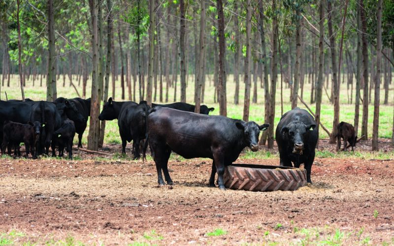 Meio Ambiente deve atender à demanda do agro no Plano Clima