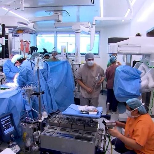 Rim é o órgão mais doado no país, mas fila de espera por transplante ainda é longa