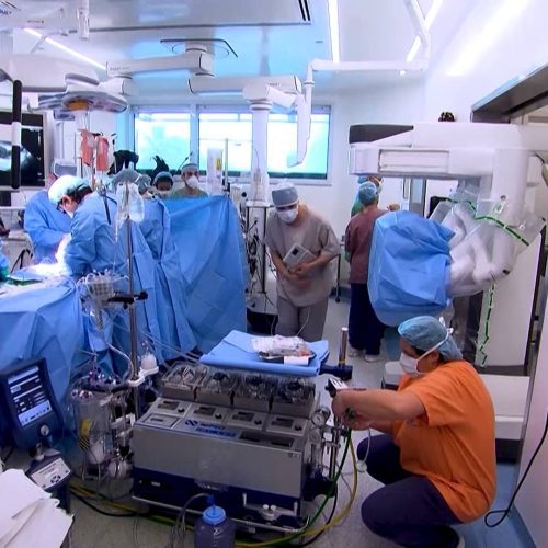 Saiba como funciona a operação que garante a chegada de órgãos a pacientes em espera no Ceará