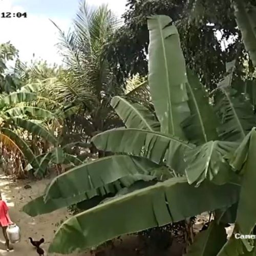 Mulher flagrada levando botijão de buffet em Horizonte é suspeita de outros furtos na região