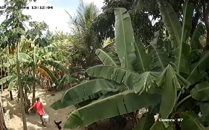 Mulher flagrada levando botijão de buffet em Horizonte é suspeita de outros furtos na região