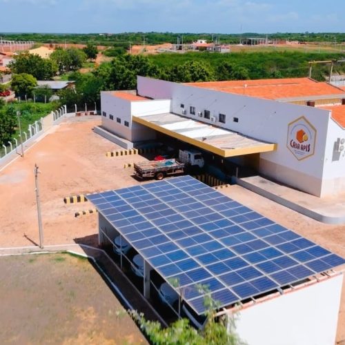 Tarifaço dos EUA causa retenção de carga e preocupa produtores de mel no Piauí