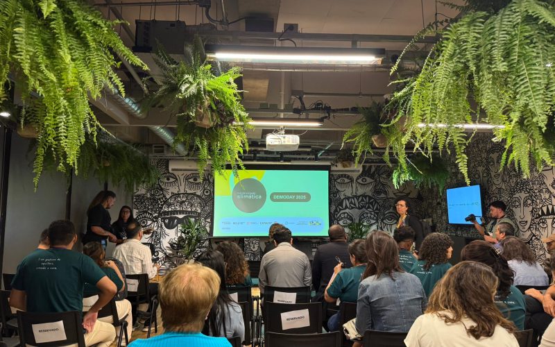 Startups amazônicas recebem R$ 45 mil para combater crise climática