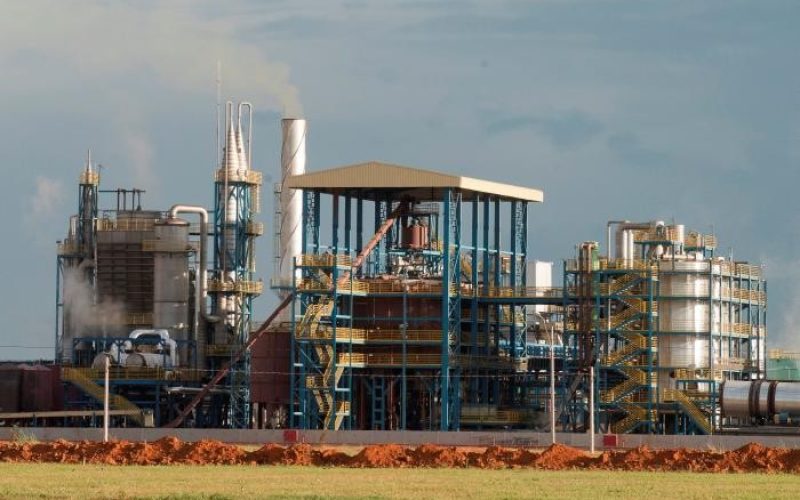 Lucro líquido da Caramuru Alimentos tem alta de 202,4% no terceiro trimestre