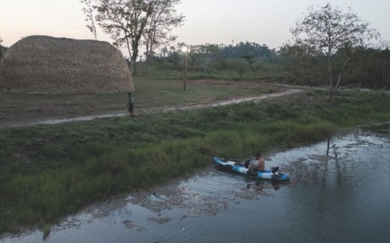 Bioeconomia gera renda para povos tradicionais e agricultores familiares