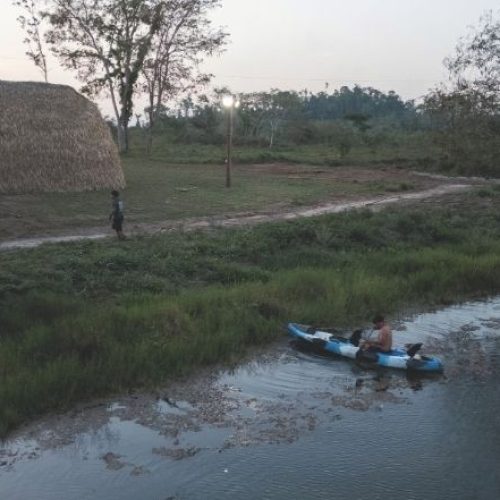Bioeconomia gera renda para povos tradicionais e agricultores familiares