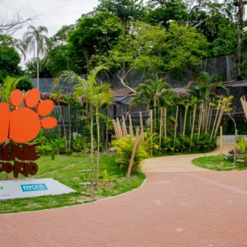 Foco de gripe aviária é confirmado no Bioparque do Rio