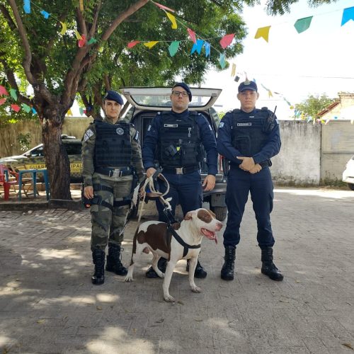 Pitbull entra em ônibus e é resgatado pela Guarda Municipal no terminal da Messejana