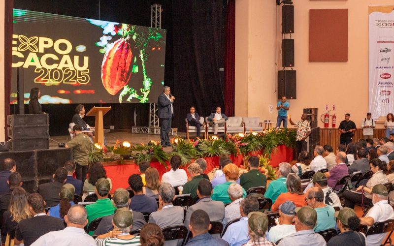 Para melhorar renda no campo, cadeia do cacau pede foco em produtividade