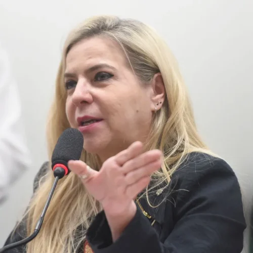 Deputada Luizianne Lins chega ao Brasil após ser detida em missão humanitária rumo à Palestina