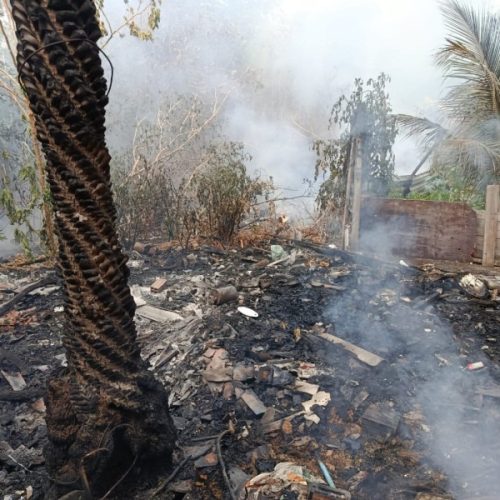 Incêndio atinge área próxima ao Parque do Cocó e mobiliza Corpo de Bombeiros em Fortaleza