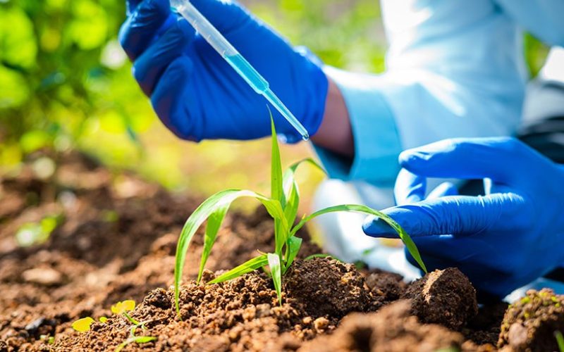 Brasil registra 162 bioinsumos em 2025, número recorde no país