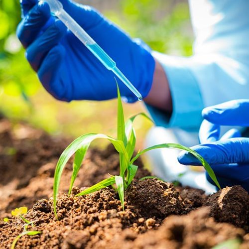 Indústria e produtores querem regulamentação da lei de bioinsumos