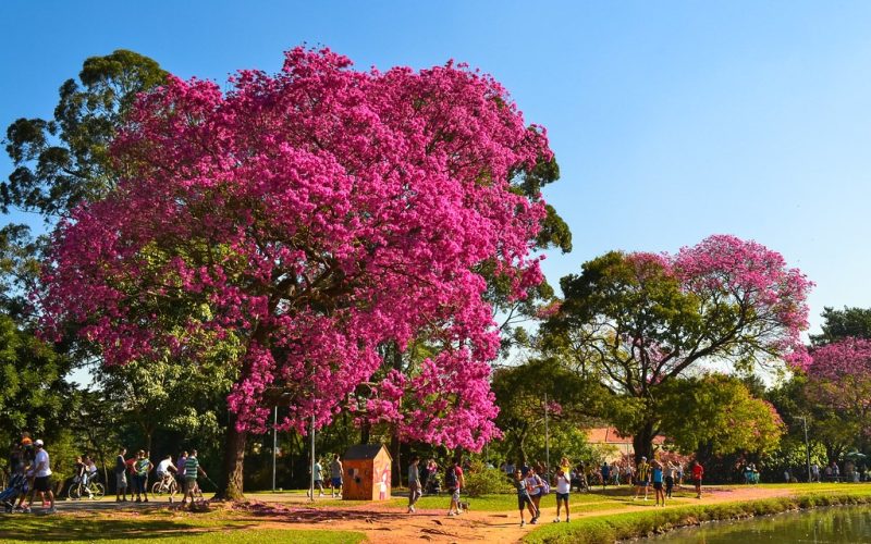 Veja como será o clima em setembro no Brasil