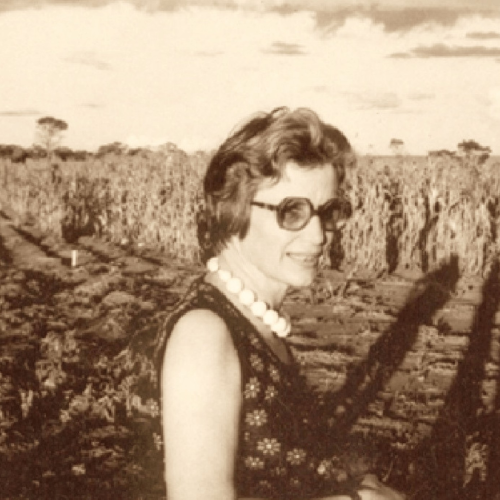 Johanna Döbereiner: a cientista que fez florescer a agricultura sustentável no Brasil