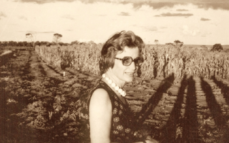 Johanna Döbereiner: a cientista que fez florescer a agricultura sustentável no Brasil