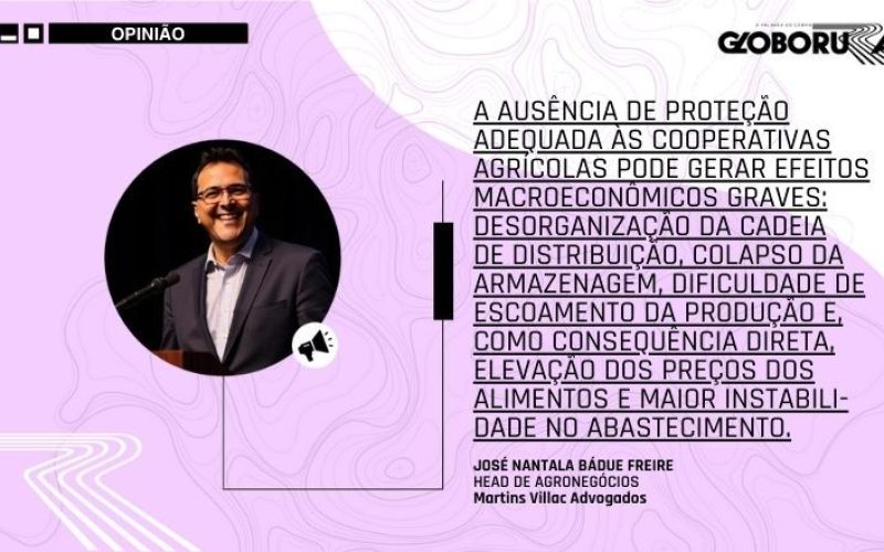 A necessária proteção às cooperativas agrícolas do Brasil