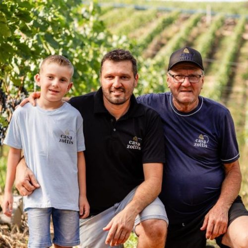 Favorecida pelo frio, Serra Gaúcha deve colher uvas mais doces e em maior volume