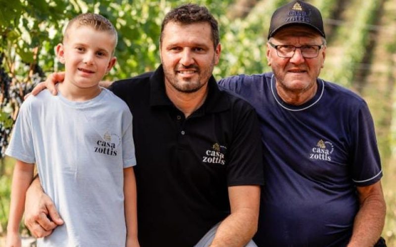 Favorecida pelo frio, Serra Gaúcha deve colher uvas mais doces e em maior volume